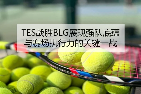 TES战胜BLG展现强队底蕴与赛场执行力的关键一战