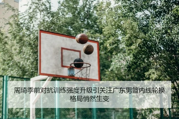 周琦季前对抗训练强度升级引关注广东男篮内线轮换格局悄然生变