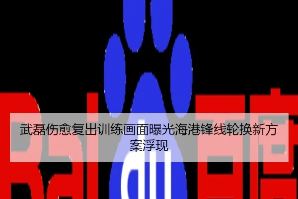 武磊伤愈复出训练画面曝光海港锋线轮换新方案浮现