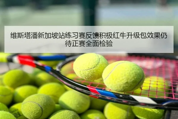 维斯塔潘新加坡站练习赛反馈积极红牛升级包效果仍待正赛全面检验